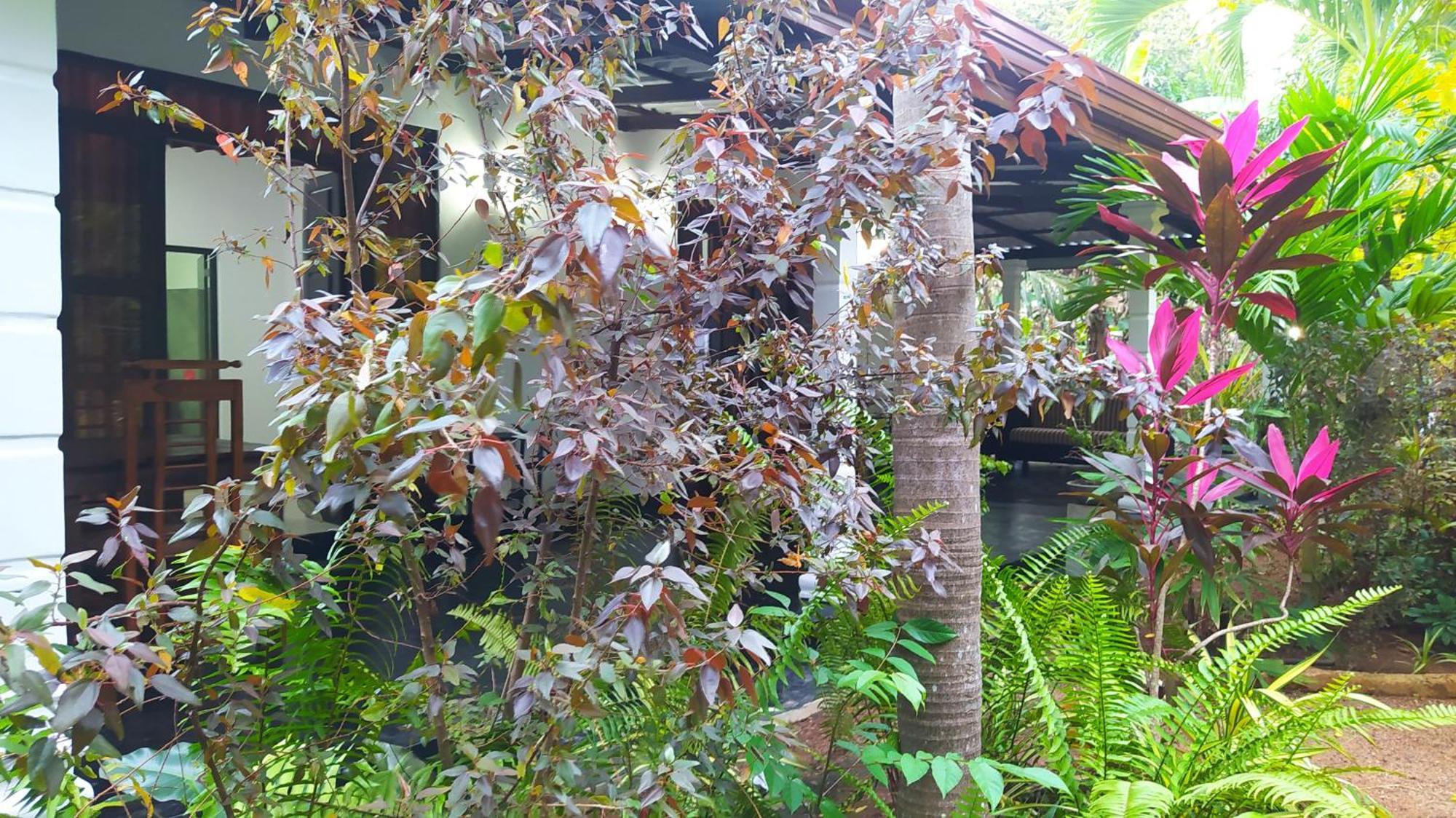 Yashi'S Place Sigiriya Exterior foto